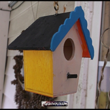 bird house 002